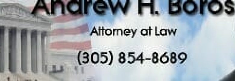 Andrew H. Boros, Esq.