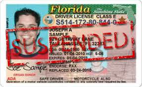 Florida License Suspended