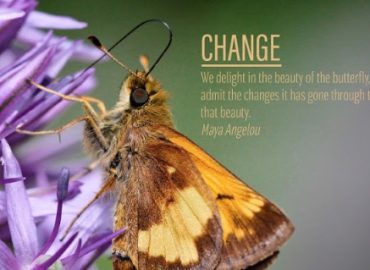 Great Lakes Recovery Centers | Behavioral Health Services